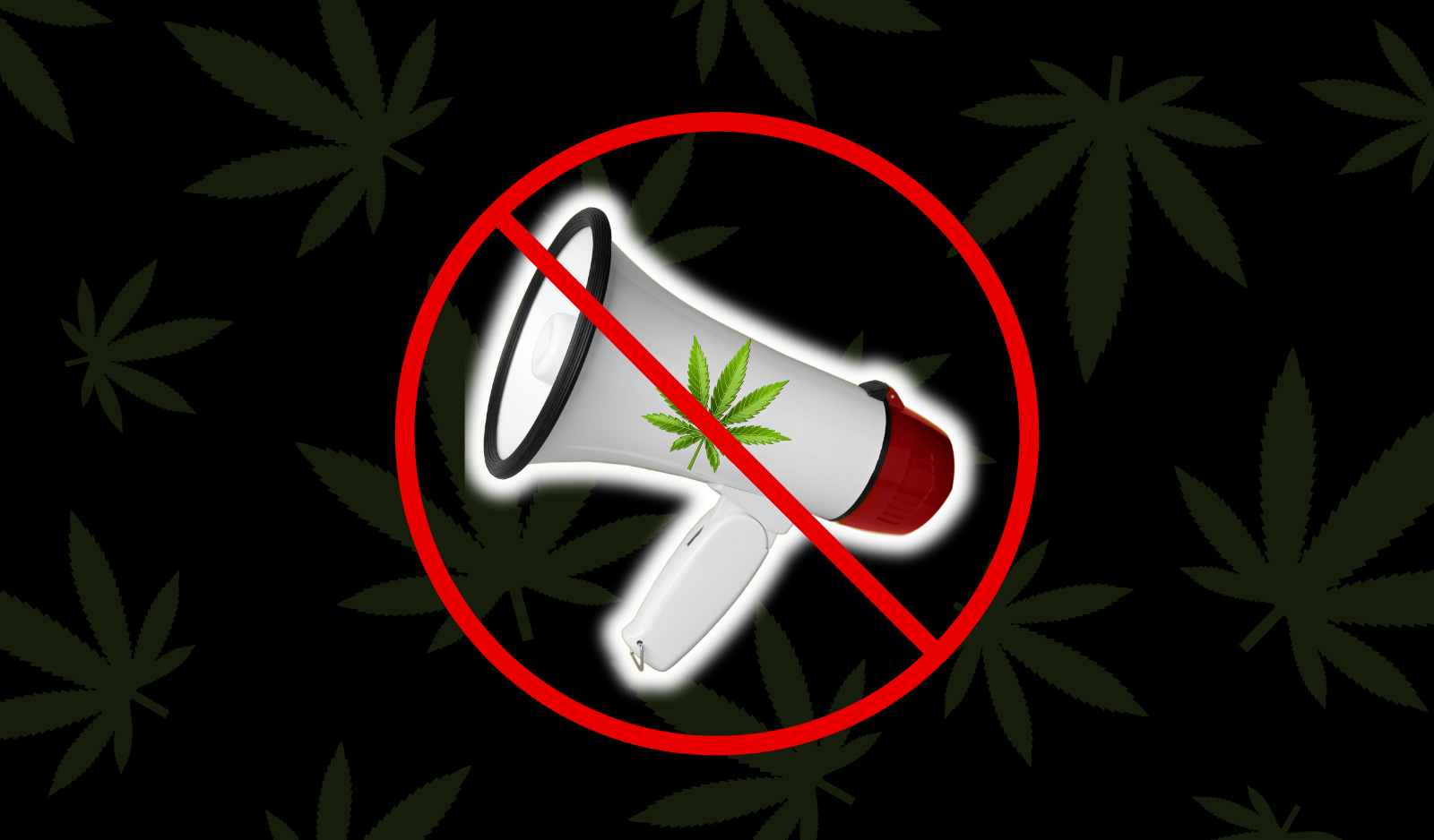 Os desafios da comunicação canábica e o proibicionismo das plataformas